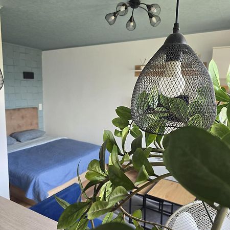 R&J Apartment II Panevėžys المظهر الخارجي الصورة